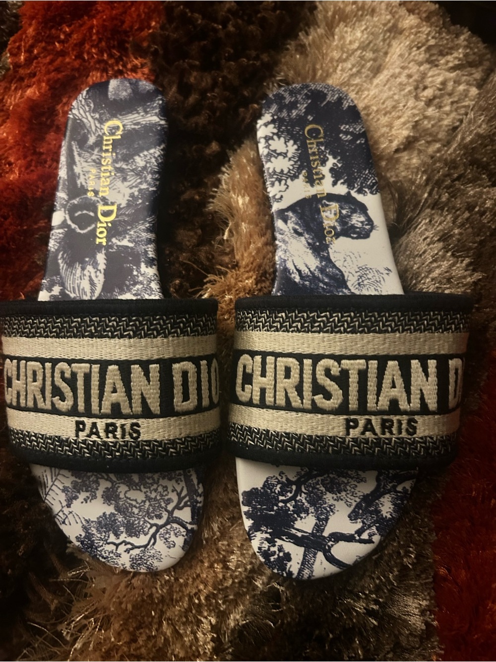 Dior Navy and White Toile Logo Slide Sandals - Picture 2 of 5